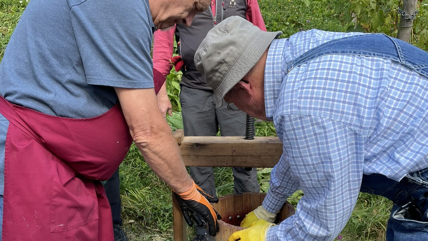 Zwei Männer kümmern sich um eine Traubenpresse